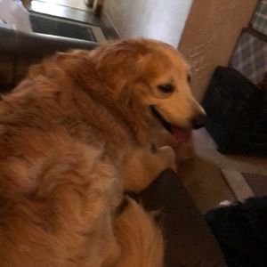 Meet your Posher, Lynn